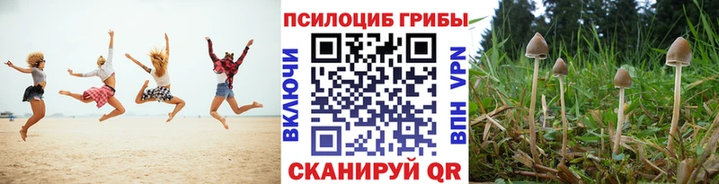 Псилоцибиновые грибы Magic Shrooms  даркнет сайт  Камбарка 